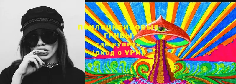 Псилоцибиновые грибы MAGIC MUSHROOMS  shop Telegram  Жирновск 